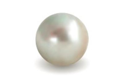 Pietre preziose: PERLA